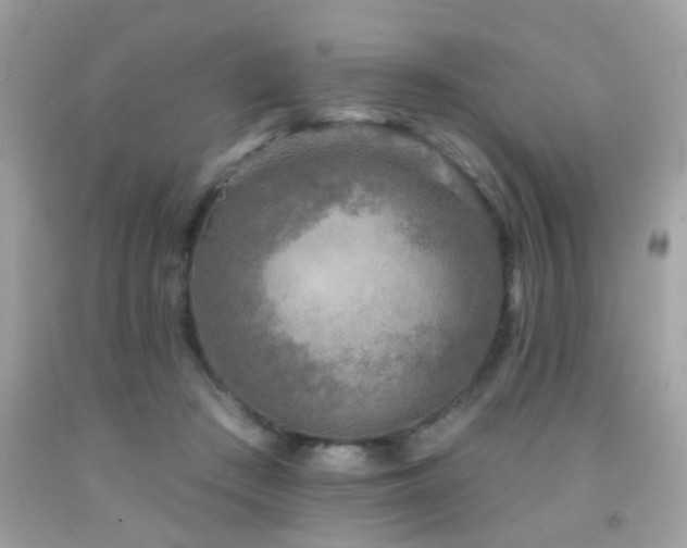 X0000092080409200709121448