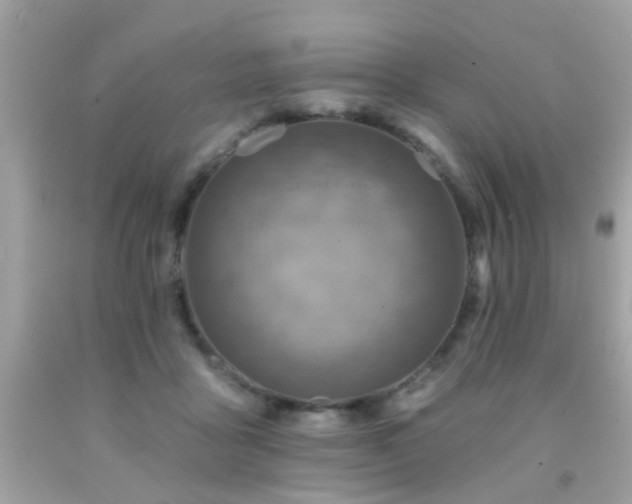 X0000092080411200709121448