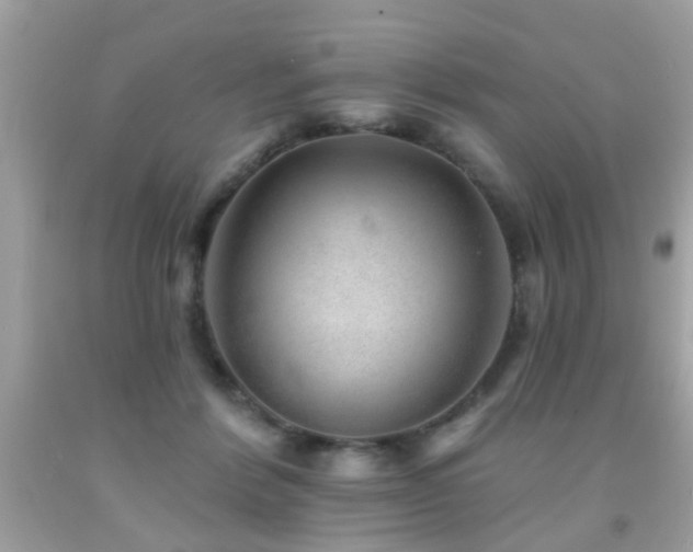 X0000092080412200709121448