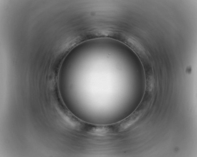 X0000092080414200709121448