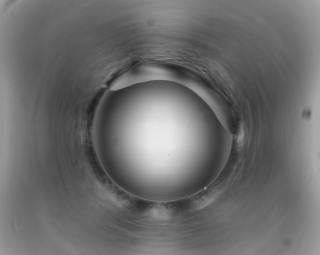 X0000092080416200709121448