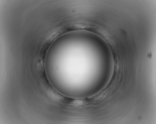X0000092080418200709121448