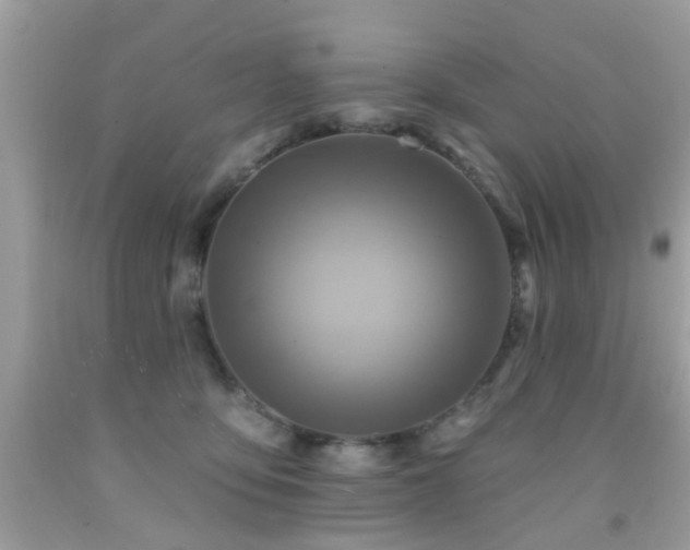 X0000092080419200709121448