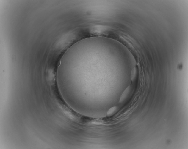 X0000092080420200709121448