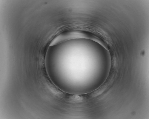 X0000092080421200709121448