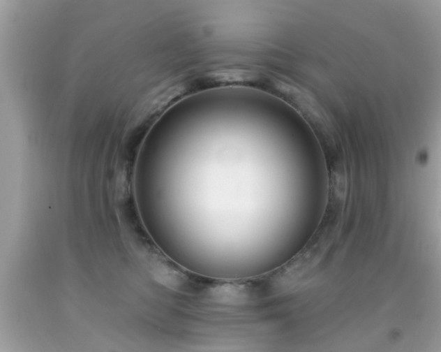 X0000092080422200709121448