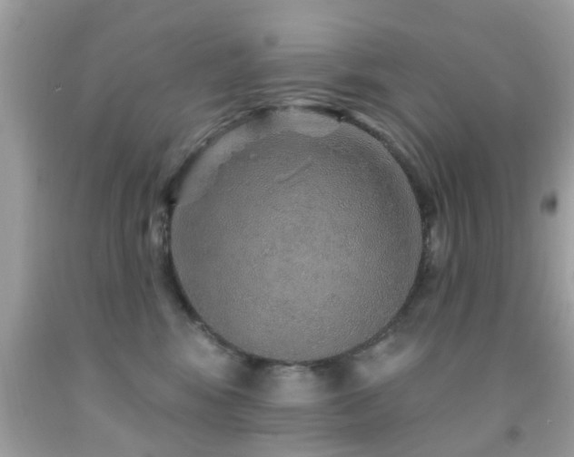 X0000092080424200709121448