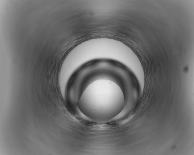 X0000092080428200709121448