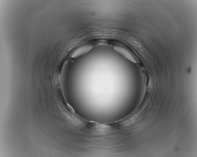X0000092080429200709121448