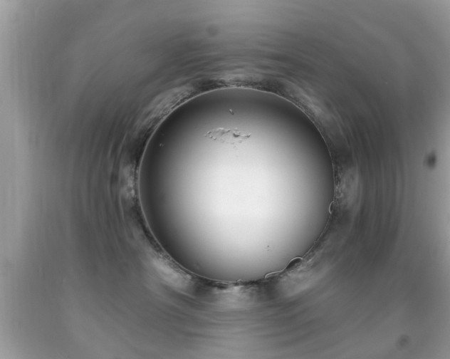 X0000092080430200709121448