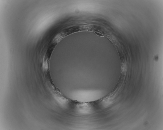 X0000092080431200709121448