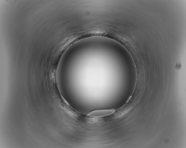 X0000092080432200709121448