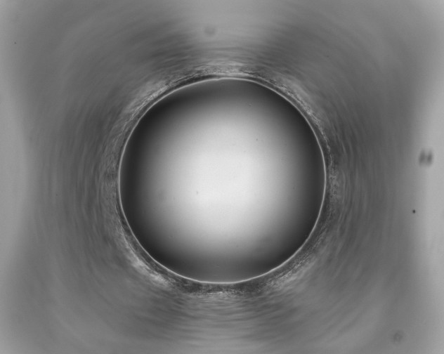 X0000092080433200709121447