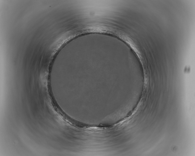X0000092080434200709121447