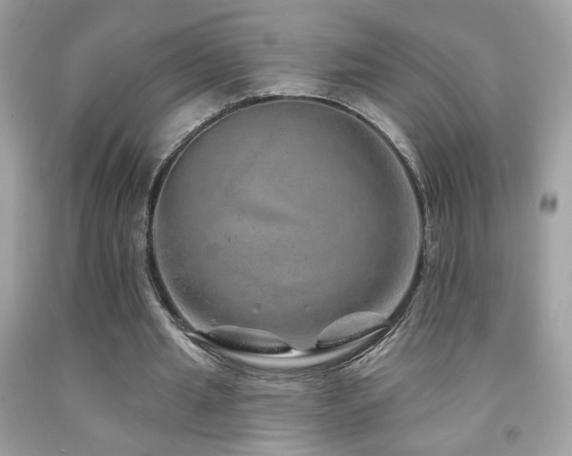 X0000092080437200709121447