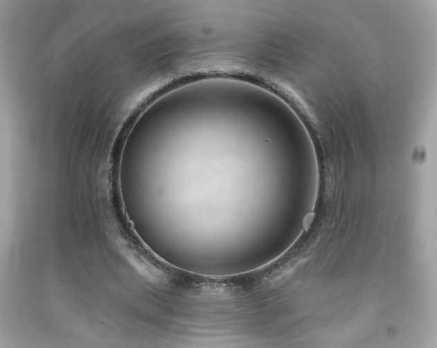 X0000092080439200709121447