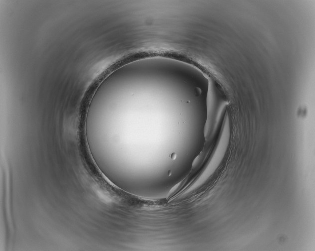 X0000092080440200709121447