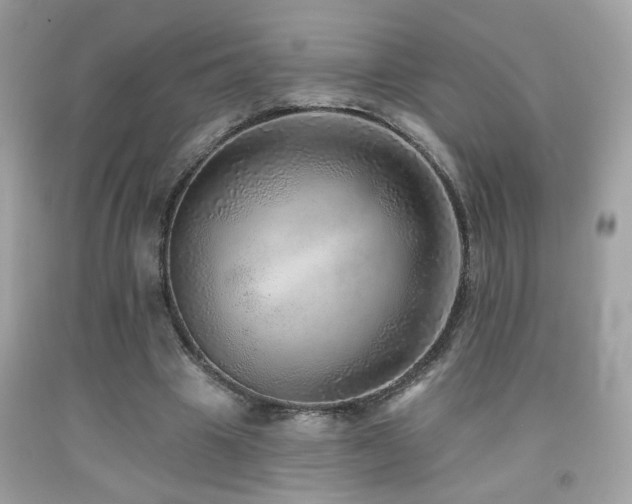X0000092080441200709121447