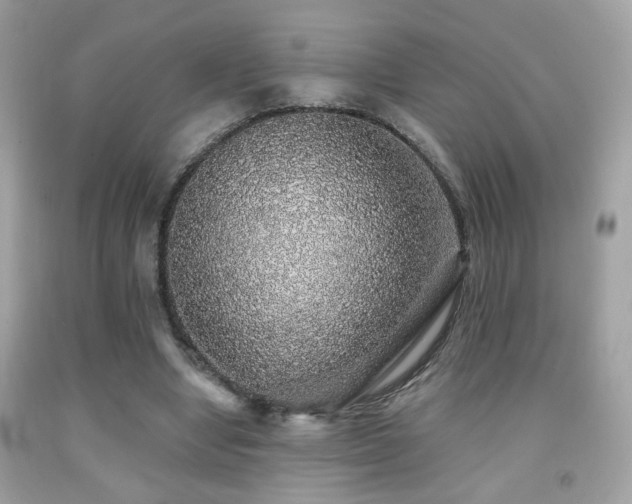 X0000092080442200709121447