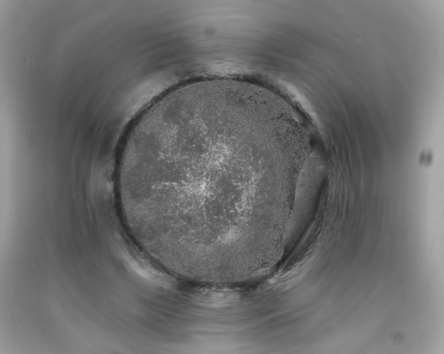 X0000092080443200709121447