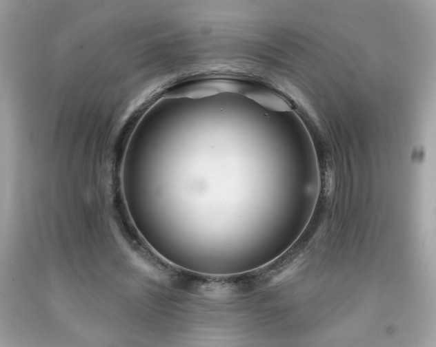 X0000092080444200709121447