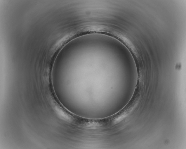 X0000092080445200709121447