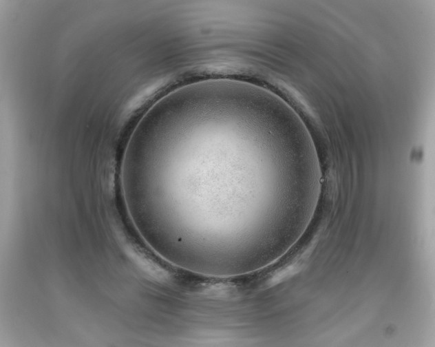 X0000092080446200709121447