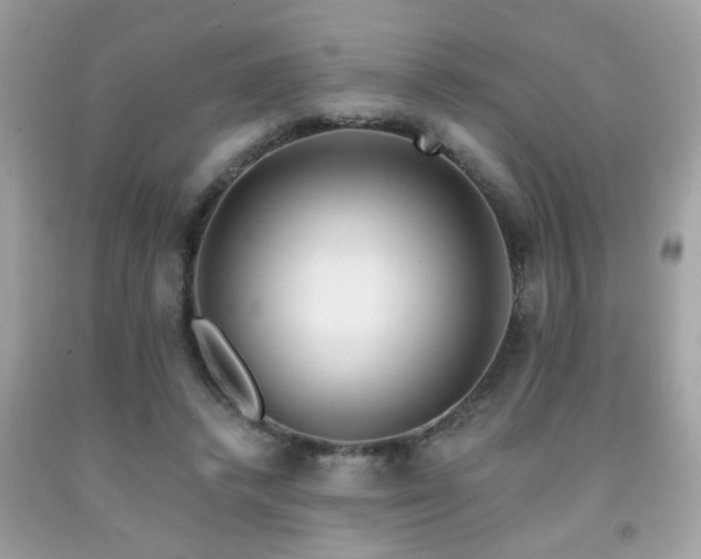 X0000092080448200709121447