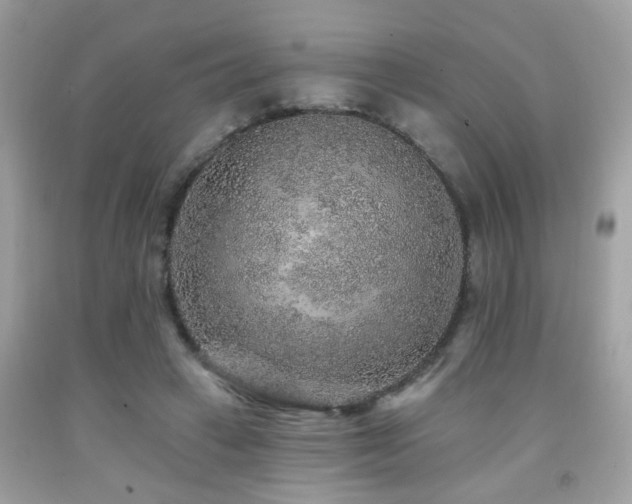 X0000092080449200709121447