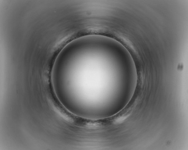 X0000092080450200709121447