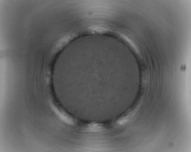 X0000092080451200709121447