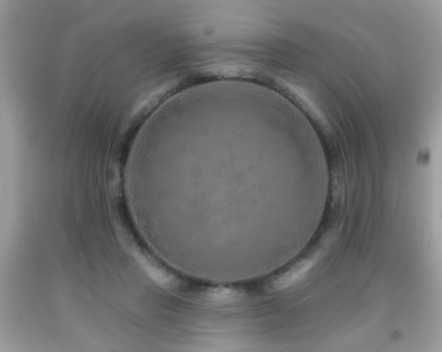 X0000092080453200709121447