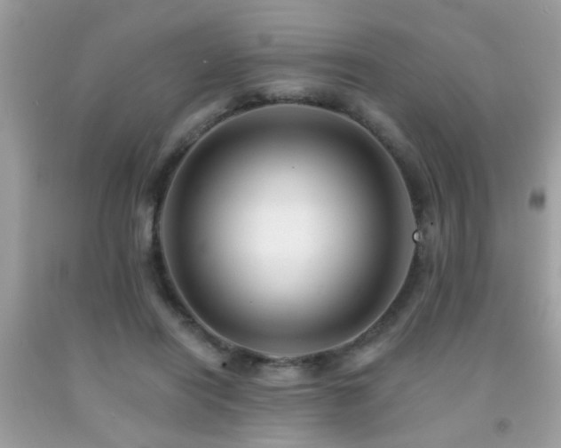 X0000092080454200709121447