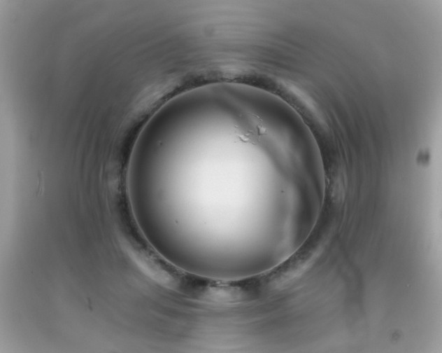 X0000092080455200709121447