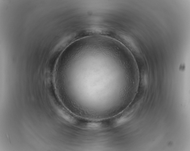 X0000092080457200709121447
