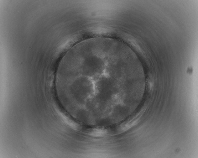 X0000092080458200709121448