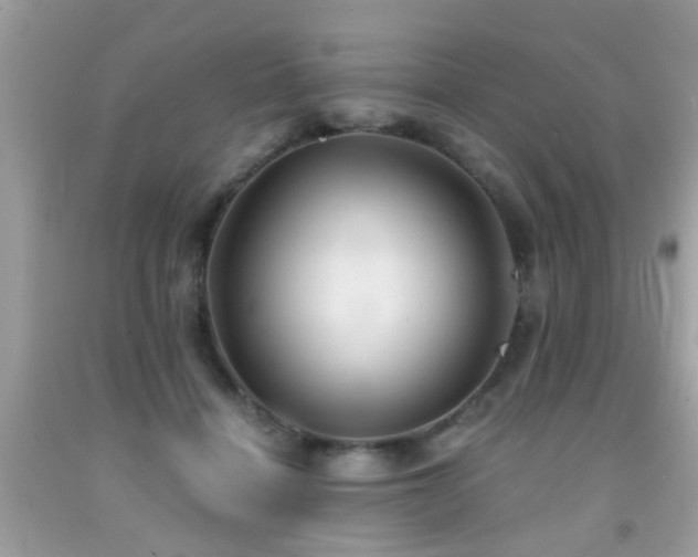 X0000092080460200709121448