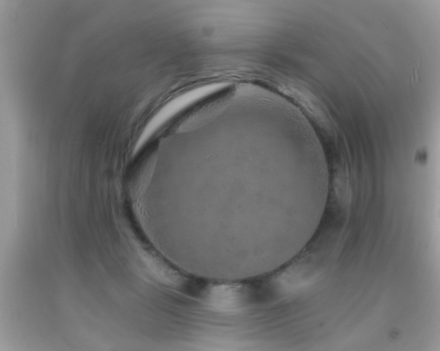 X0000092080461200709121448