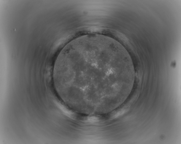 X0000092080462200709121448