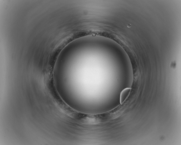 X0000092080464200709121448