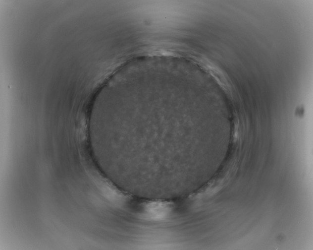 X0000092080465200709121448