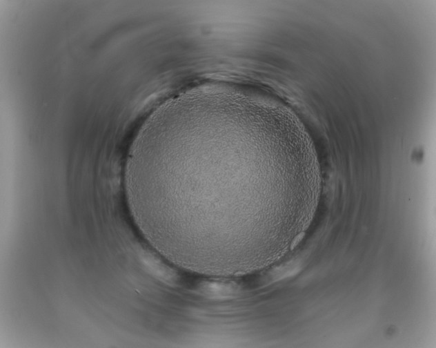 X0000092080466200709121448
