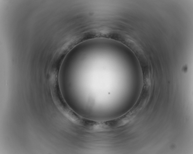 X0000092080468200709121448