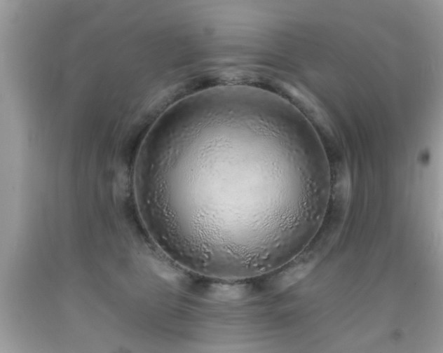 X0000092080469200709121448