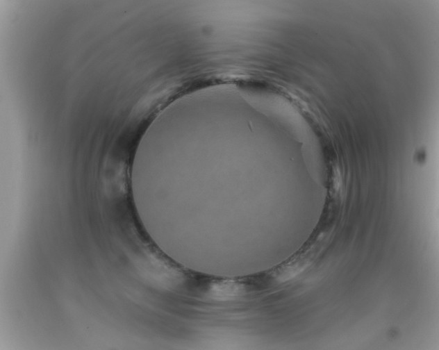 X0000092080470200709121448