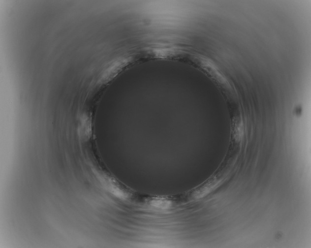 X0000092080471200709121448