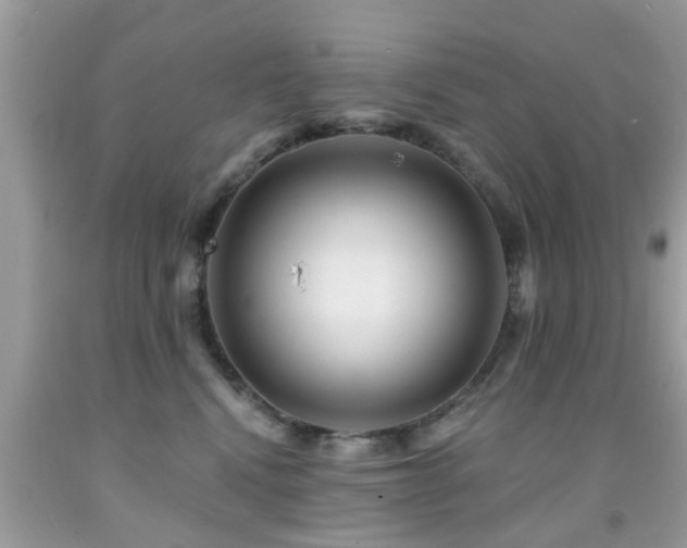 X0000092080472200709121448