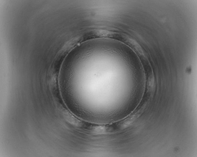 X0000092080473200709121448