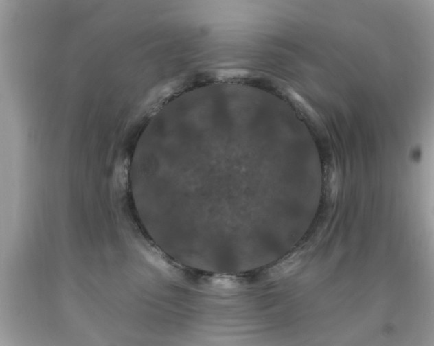 X0000092080475200709121448