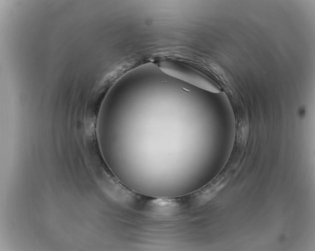 X0000092080477200709121448